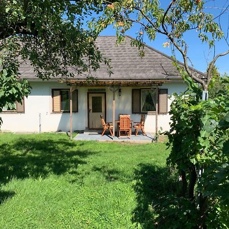 Urlaub Im Weingarten Winten  外观 照片