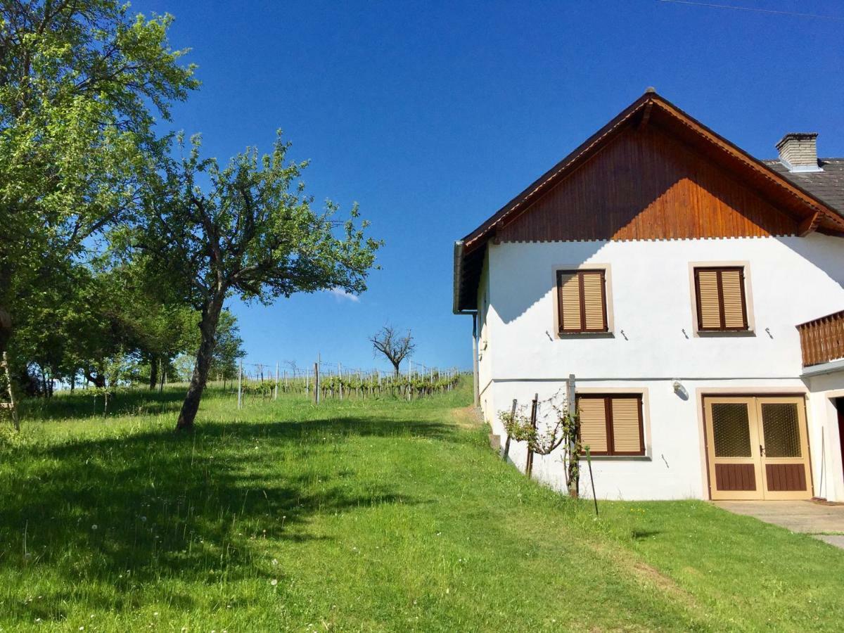 Urlaub Im Weingarten Winten  外观 照片