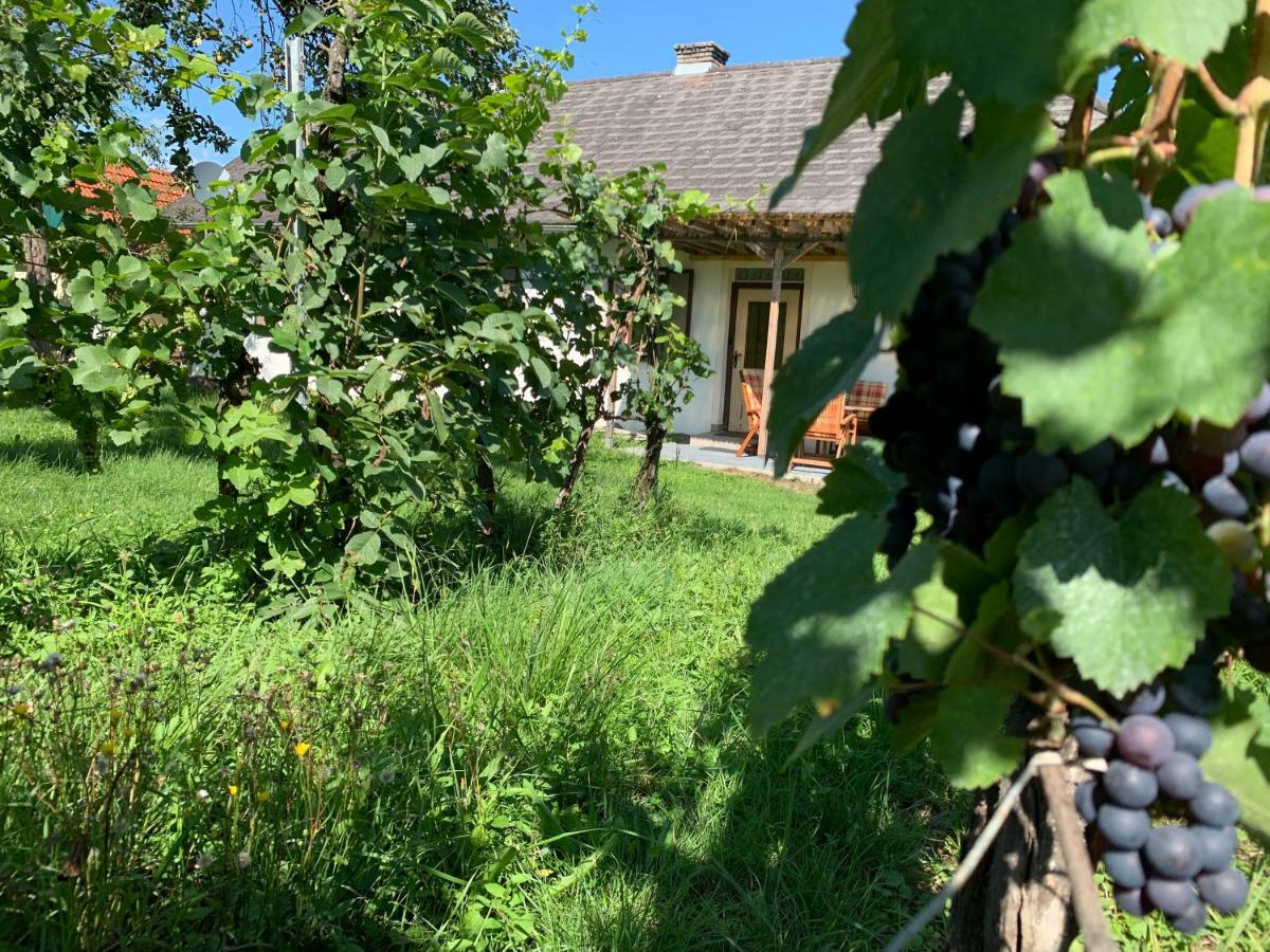 Urlaub Im Weingarten Winten  外观 照片