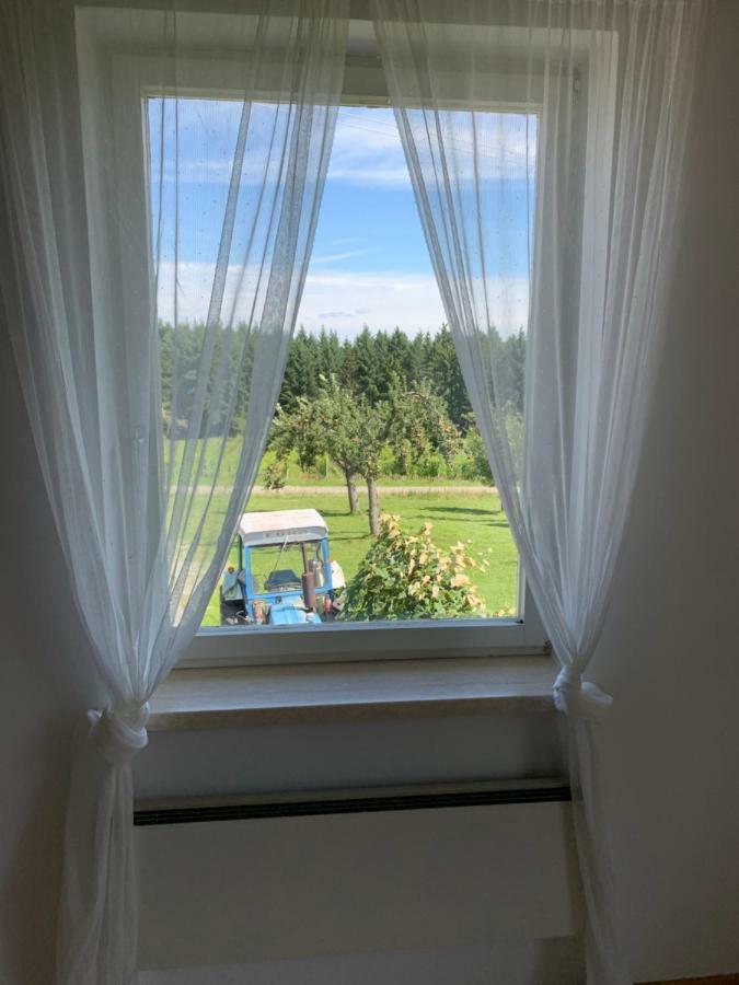 Urlaub Im Weingarten Winten  外观 照片