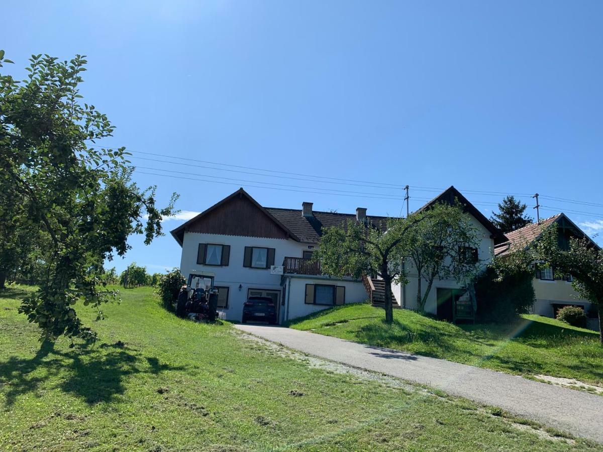 Urlaub Im Weingarten Winten  外观 照片